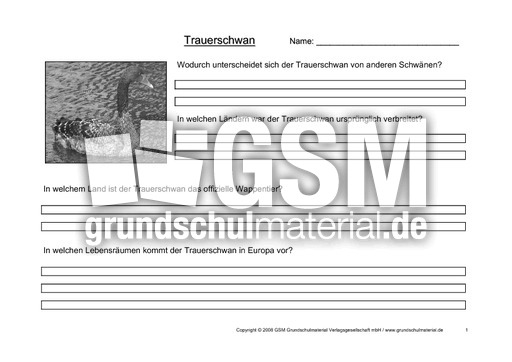 Arbeitsblatt-Trauerschwäne-1.pdf